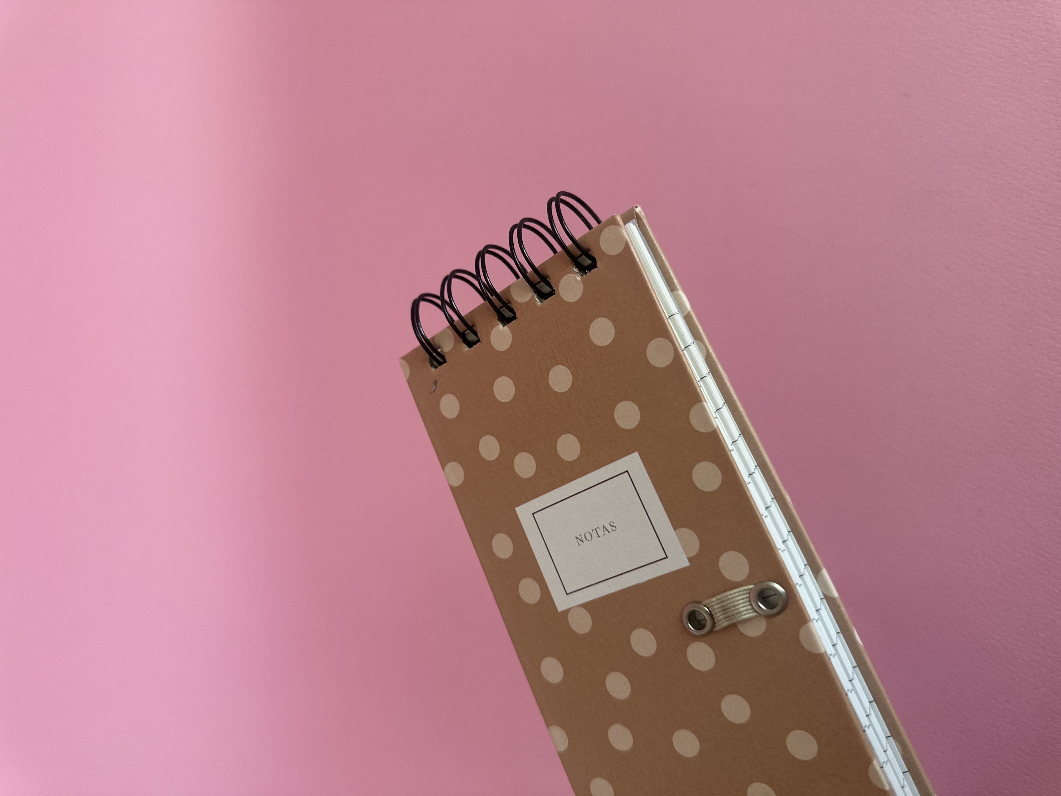 دەفتەری تێبینی درێژ