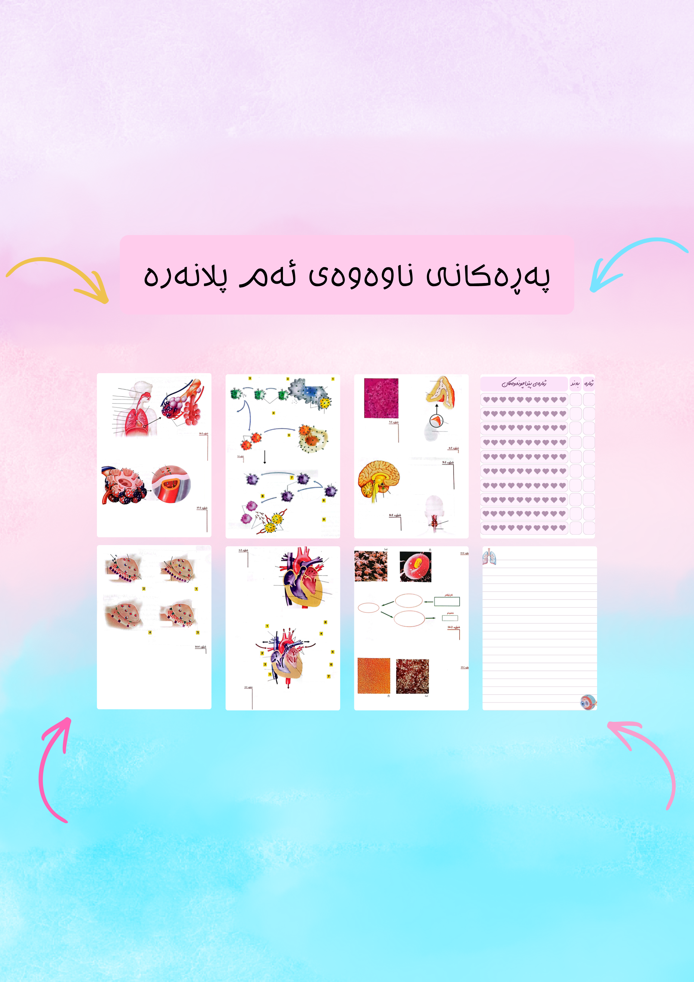 وێنەکانی زیندەزانی پۆلی ١٢